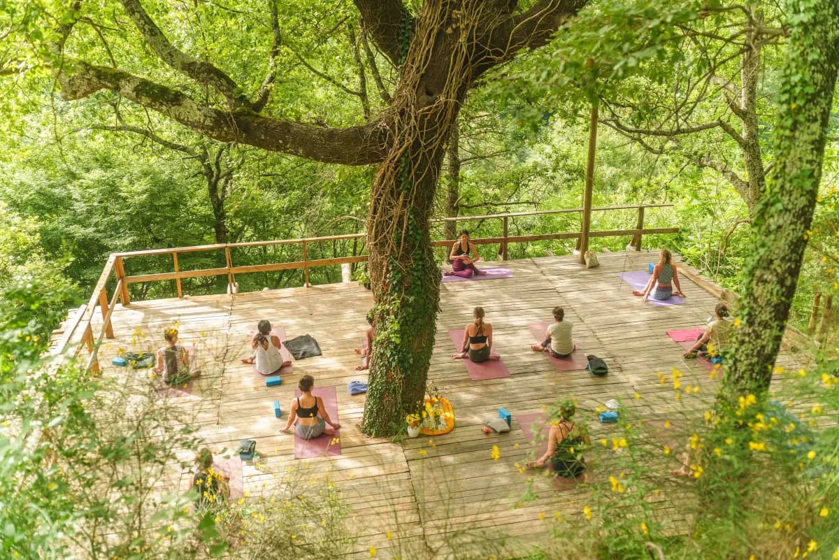 Yoga, Nature & Breathwork
